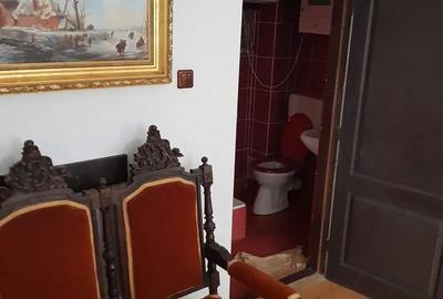 Casă cu 6 camere cu Teren 6000 Mp în Chichiș - 1