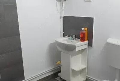 Casă cu 3 camere cu Teren 3200 Mp în Mihăileni - 7