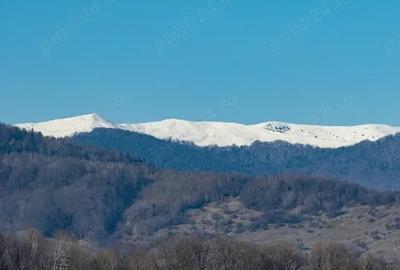 Teren în Teișani - 5