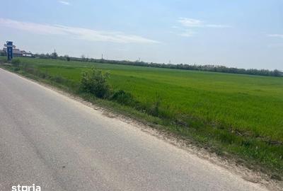 Teren de 5600 mp, în Ciocănești - 8