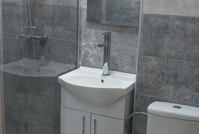 Apartament cu 2 camere semidecomandat în Liviu Rebreanu - 3