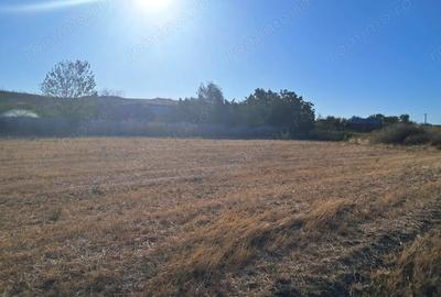 Teren de 4600 mp, în Stejaru