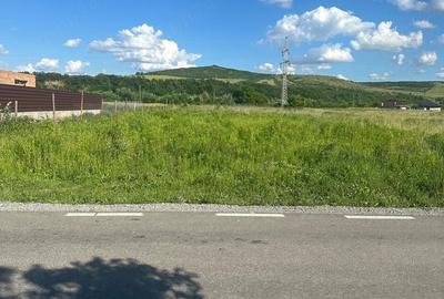 Teren de 24 mp, în Viișoara