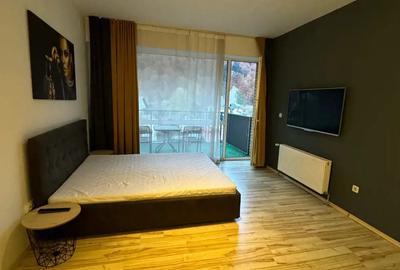 Apartament cu 2 camere decomandat în Sinaia - 1