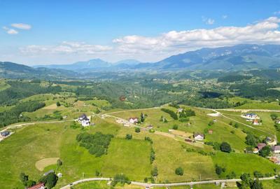 Teren Construcții intravilan de 13000 mp, în Șirnea - 1