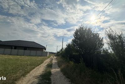 Spațiu comercial, în Albota - 3