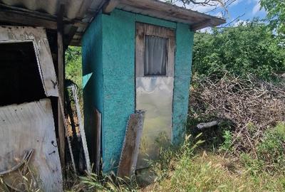 Casă individuală cu 2 camere cu Teren 2500 Mp în Sterea - 5