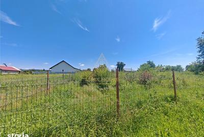 Teren de 1450 mp, în Letea Veche - 11