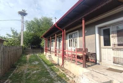 Casă cu Teren 1600 Mp în Central - 5