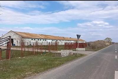 Teren de 16575 mp, în Sintea Mare - 4