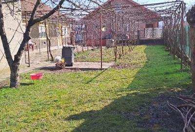 Casă cu Teren 700 Mp în Teiu - 6