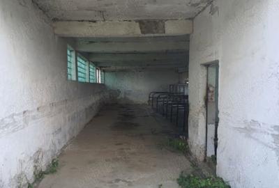 Teren de 5000 mp, în Remetea Mare - 8