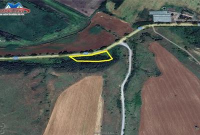 Teren de 2926 mp, în Nufăru - 6