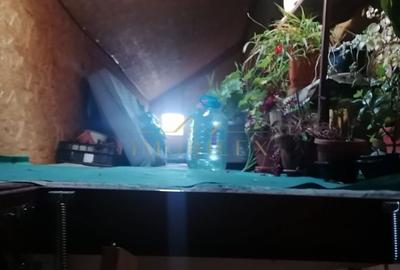 Casă cu 2 camere cu Teren 305 Mp în Gruia - 2