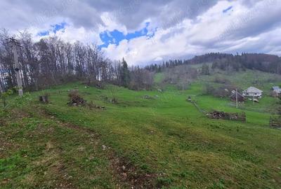 Teren de 800 mp, în Gârda de Sus