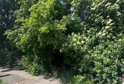 Teren de 4200 mp, în Rădăuți - 3