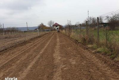 Teren de 8071 mp, în Lipănești - 7