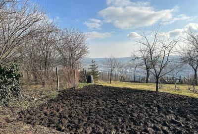 Casă cu 2 camere cu Teren 1150 Mp în Platou - 4