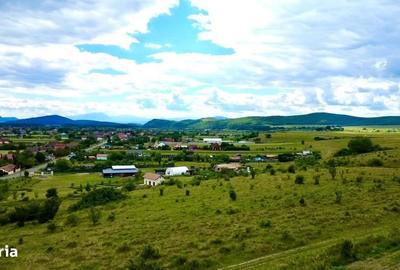 Spațiu comercial, în Dobolii de Jos - 6