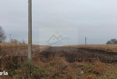 Teren de 2500 mp, în Dărmănești