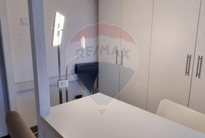 Garsonieră decomandată, mobilată în Cișmigiu - 9