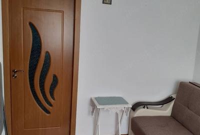 Garsonieră nedecomandată în Padina - 4