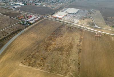 Teren agricol extravilan de 55340 mp, în Micălaca - 3
