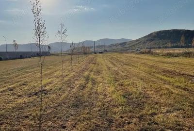 Teren de 3000 mp, în Măgureni - 1