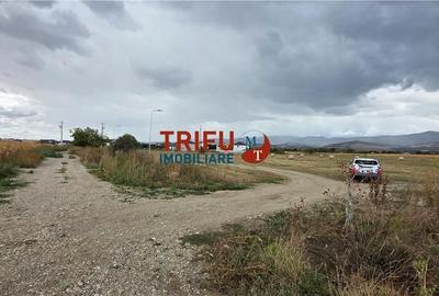 Teren de 5900 mp, în Partoș