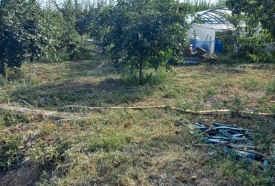 Casă individuală cu 3 camere cu Teren 2894 Mp în Segarcea-Vale