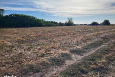 Teren de 2000 mp, în Central