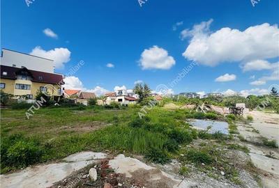 Teren Construcții intravilan de 5595 mp, în Turnișor - 2