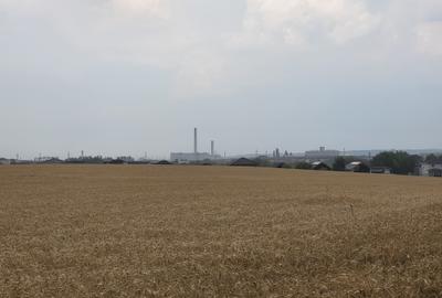 Teren agricol extravilan de 5800 mp, în Calea Aradului - 1