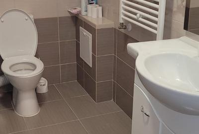 Apartament cu 3 camere decomandat în Valea Moșneagului - 4