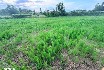 Teren de 1200 mp, în Stupini - 4