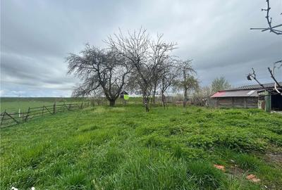 Casă cu 2 camere cu Teren 1850 Mp în Dobârlău - 4