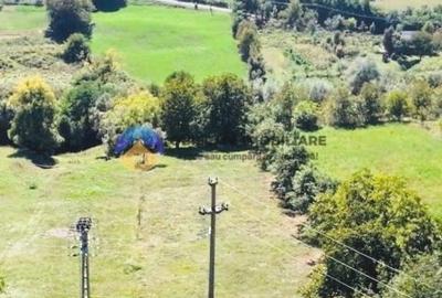 Teren Construcții de 2510 mp, în Borlești - 3