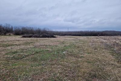 Teren de 4000 mp, în Cârcea - 3