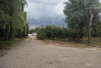 Casă cu 4 camere în 1 Decembrie