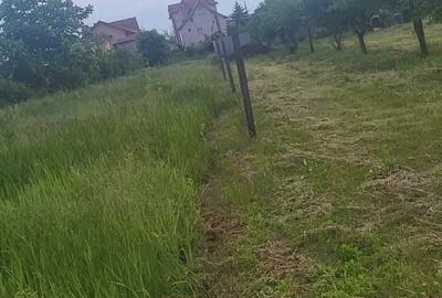 Teren de 2370 mp, în Blejoi - 8