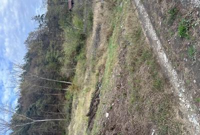 Teren Construcții intravilan de 1547 mp, în Budești - 2