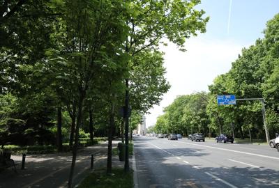 Apartament cu 4 camere decomandat în Arcul de Triumf - 6