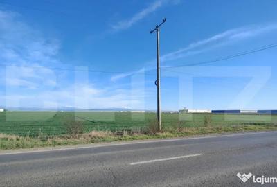 Teren de 59000 mp, în Ariceștii Rahtivani - 4