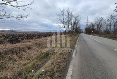 Teren extravilan de 1300 mp, în Ciugud