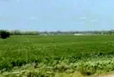 Teren de 12000 mp, în Dărăști-Ilfov - 2