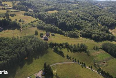 Teren de 38781 mp, în Râșca - 2