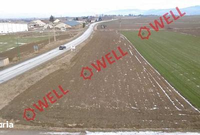 Teren de 4100 mp, în Tușnad - 3