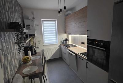 Apartament cu 2 camere decomandat în Rudicica - 6