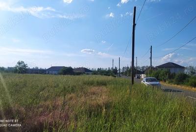 Teren de 500 mp, în Siliștea Snagovului - 3
