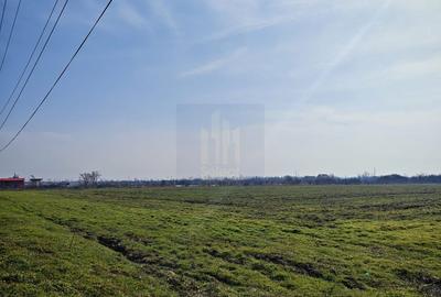 Teren de 12831 mp, în Balotești
